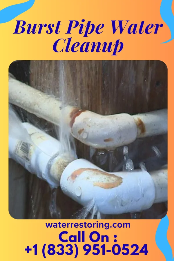 Burst Pipe Water Cleanup in Moseleyville, KY