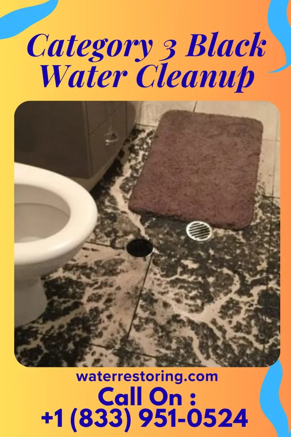 Category 3 Black Water Cleanup in Moseleyville, KY