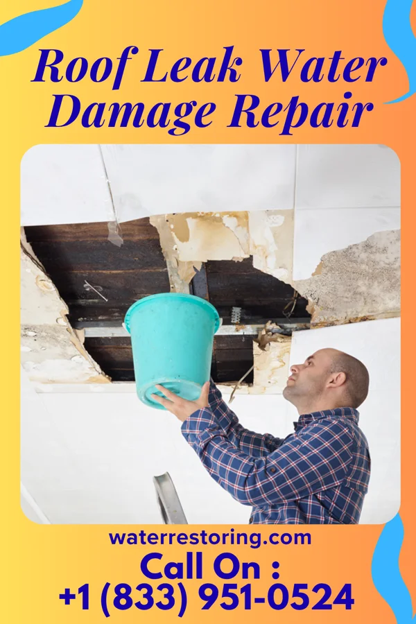 Roof Leak Water Damage Repair in Moseleyville, KY
